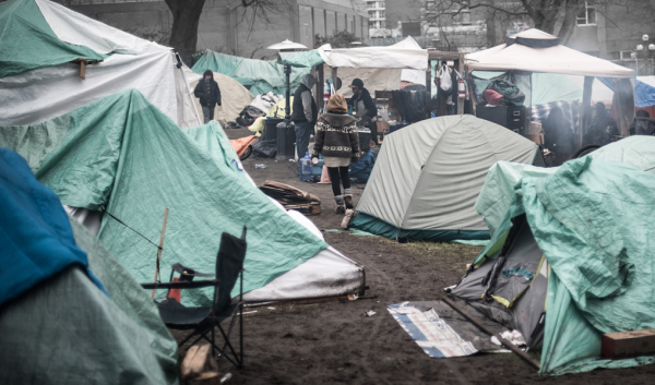 Alechoes.com Policynote klein